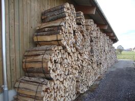 Brennholz